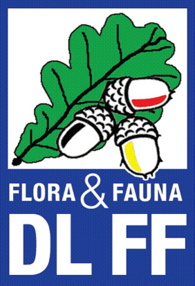 logo DLFF